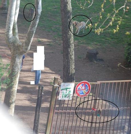 Un parco pubblico sequestrato da dei balordi dal 2006 e le responsabilità della Polizia Municipale. Lettere accorate da Roma Est