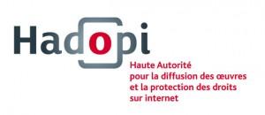 Francia: Hadopi fallisce, i pirati restano online