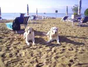 Liguria le Bau Beach In spiaggia con il nostro amico cane