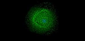 Il virus dell'HIV Foto  Gross L, PLoS Biology , licenza CC BY