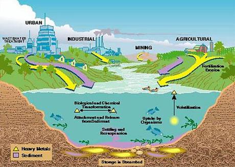 environmental-heavy-metal-contamination