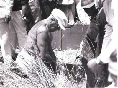 Adolfo Porry Pastorel, Mussolini alla battaglia del grano