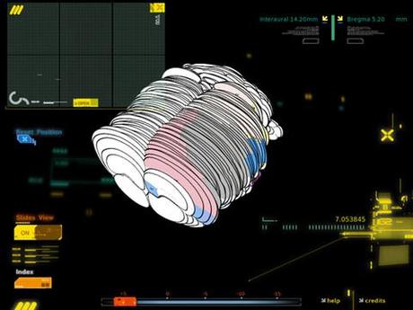 Neuropharmacology Atlas, cervello di topo 3D interattivo per iPad