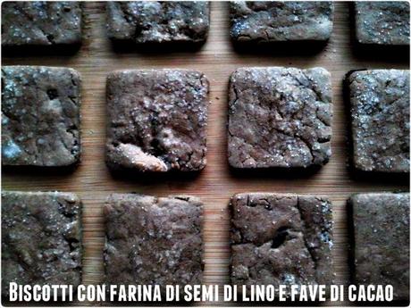 BISCOTTI QUADRATI DI LINO E FAVE DI CACAO (Cookies with flax flour and cocoa beans)