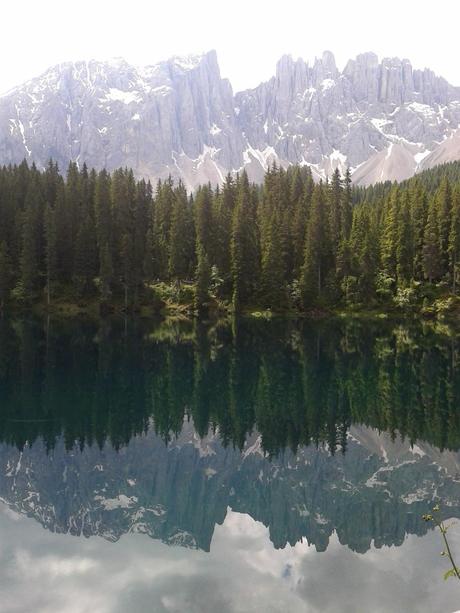 MONTI, LAGHI E NIPOTI ... QUESTO è IL MIO TRENTINO!