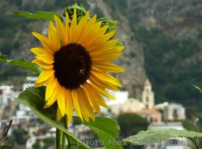 POSITANO E' ........