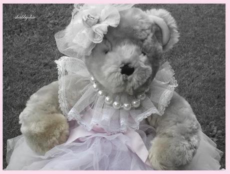 shabbychic, Teddy elegante