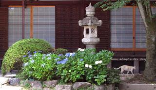 Kyoto nascosta#3: le ortensie di Fujinomori jinja