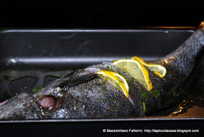 Come cucinare il pesce: una semplice e facile ricetta per un'ottima ombrina al forno al limone e aneto