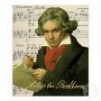 Ludwig Beethoven Musicista IllumiNIsta