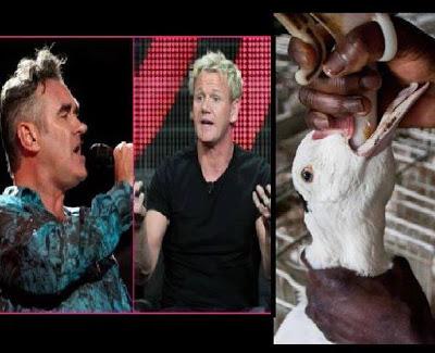 Morrissey vince la causa contro Gordon Ramsey e dona 14.000 euro alla Peta per la lotta contro il foie gras