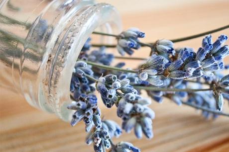 Scent of lavender...