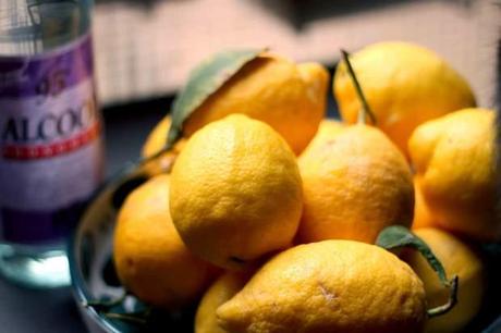 Limoni per preparare il limoncello allo zafferano