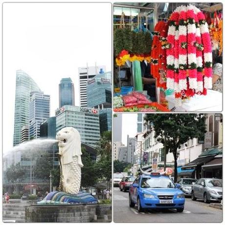 SINGAPORE: LA CITTÀ GIARDINO