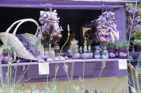 Lavanda del lago, la filiera italiana della lavanda