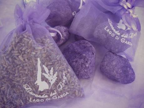 Lavanda del lago, la filiera italiana della lavanda