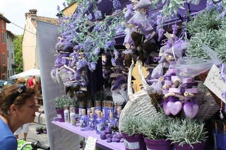 Lavanda del lago, la filiera italiana della lavanda