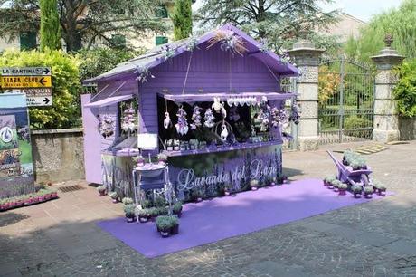 Lavanda del lago, la filiera italiana della lavanda