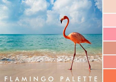 Flamingo palette