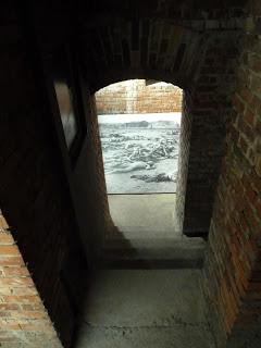 Norimberga: Albrecht Dürer, l'arte germanica, il processo, Hitler e la via sotterranea della birra