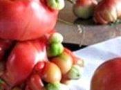 Disastro nucleare Fukushima: frutta verdura deformi