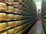 Nel mondo dei formaggi Fiandino