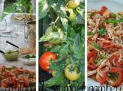 Catalana gamberi scampi: amici