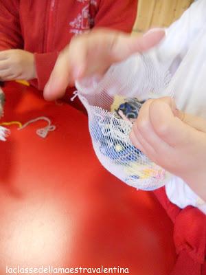 AIUTIAMO GLI UCCELLINI