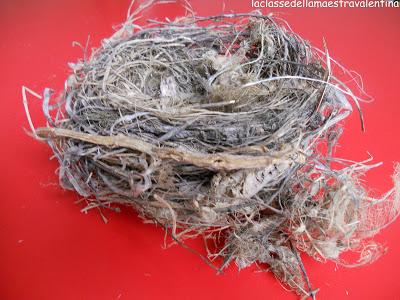 AIUTIAMO GLI UCCELLINI