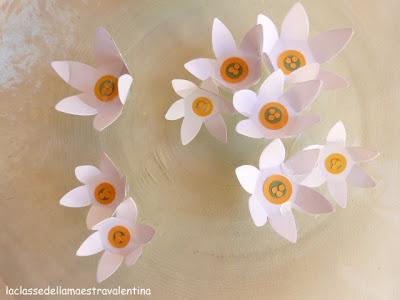 CHE MAGIA!!! LA CARTA