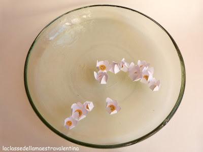 CHE MAGIA!!! LA CARTA