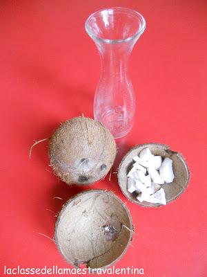 CERCO PAPA’ PER APRIRE UN COCCO