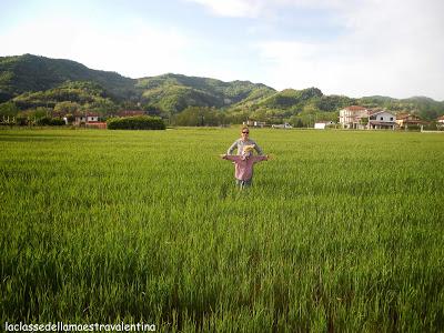 PIPPINO LO SPAVENTAPASSERI