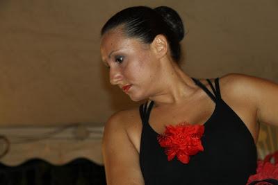 il flamenco alla festa