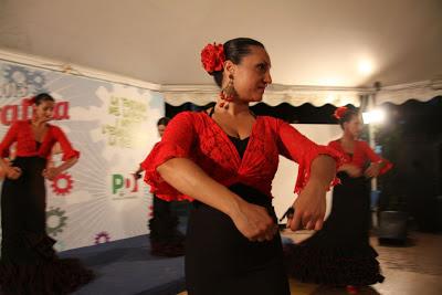 il flamenco alla festa