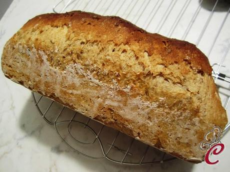 Versione ai cereali del pane in cassetta e l'inizio di una lunga sperimentazione