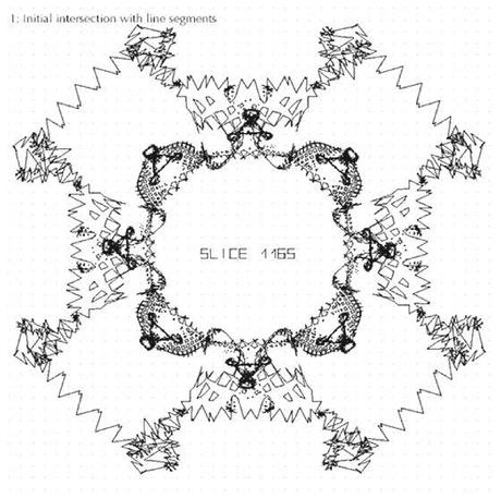 PATTERNS GENERATI AL CAD NELL'ARCHITETTURA COMPUTAZIONALE DI MICHAEL HANSMEYER