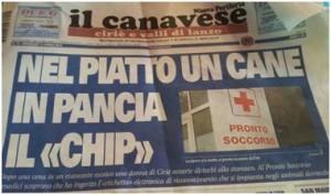 Il cane e servito 300x177 Signori, il cane e’ servito; la bufala corre sulla rete. [Foto]