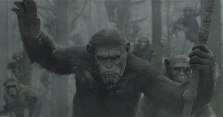 cesare dawn of the planet of the apes