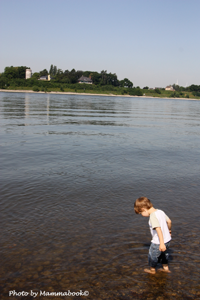 Mamma, è vero che la felicità è fatta d’acqua? (28/52)