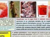 L’insetto bicchiere!
