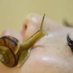 Giappone, Celebrity Escargot Course, cura facciale con lumache05