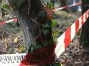 Perugia Trovato cadavere parco della Verbanella