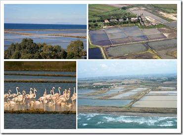 saline di tarquinia