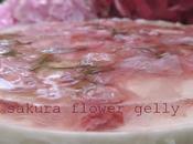 Sakura mousse cake, gelatine matcha freddissimi