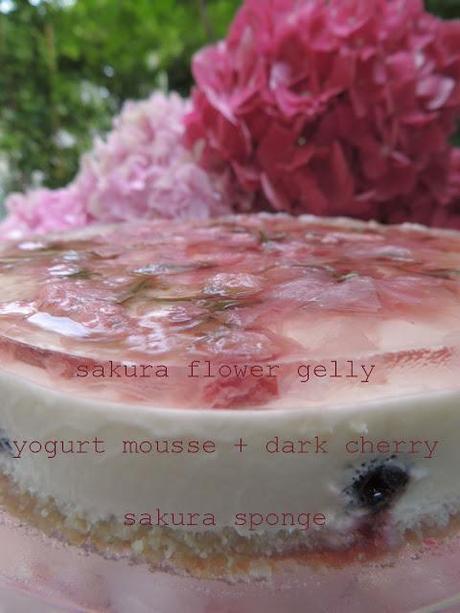 Sakura mousse cake, gelatine e matcha freddissimi