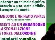 renderti complice dell'abbandono