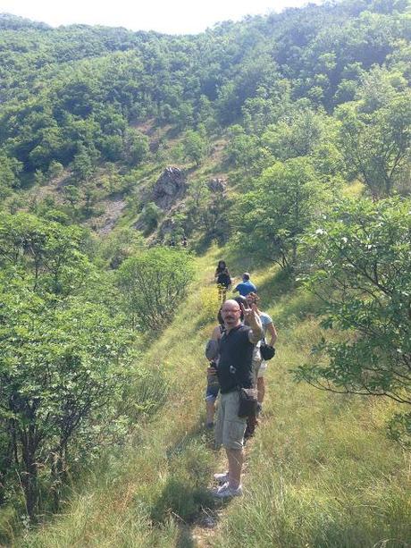 Passeggiata alla scoperta di Apecchio e della Birra artigianale #instawalkapecchio