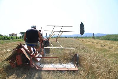 anche Isola prepara la sua battitura d'epoca