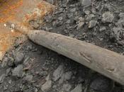 Ritrovato tempio Bulgaria